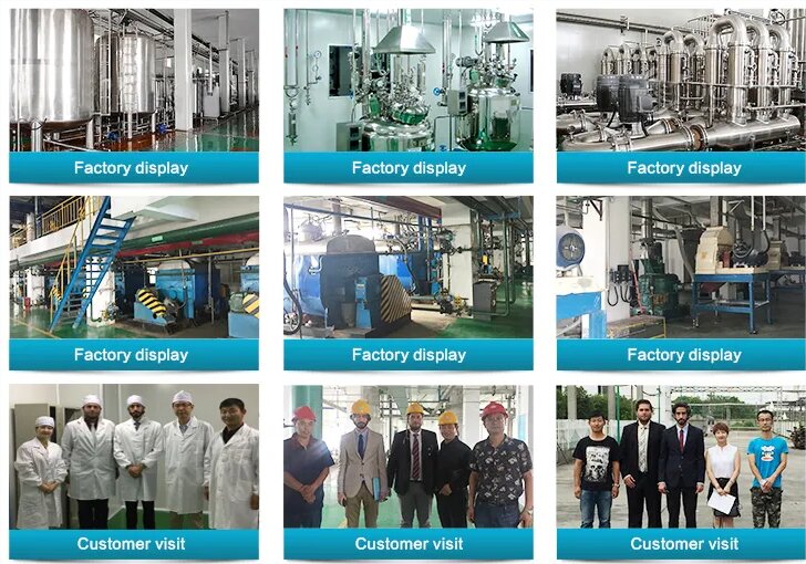 1720580116302246.jpg Factory_proc.jpg