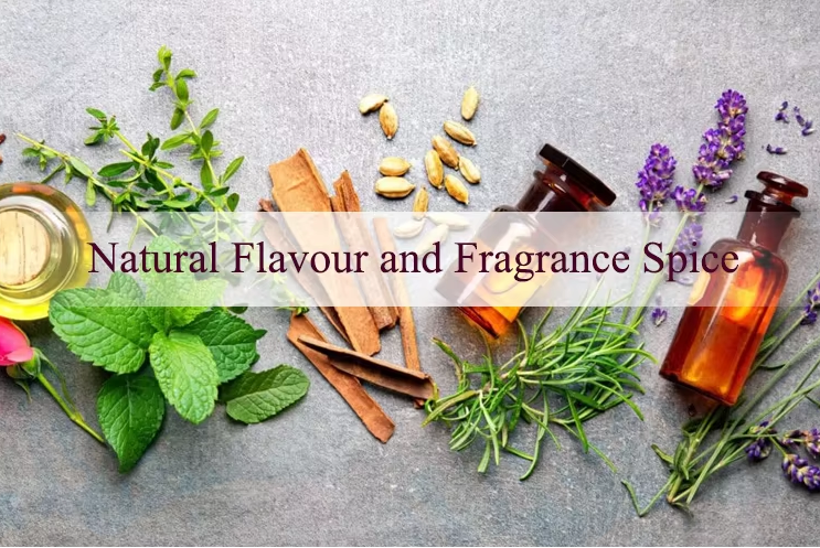 The Magic of Essential Oils: Nature's Healing Power