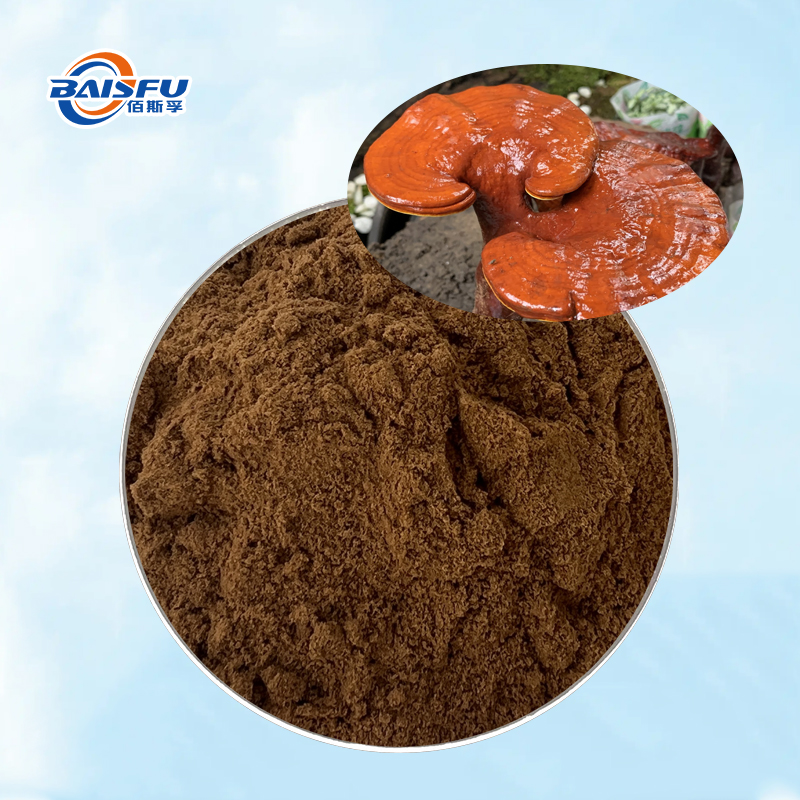 Natural Maitake Mushroom Extract CAS  37339-90-5 with Major Factory Supply Hot Selling High Quality Maitake Mushroom Extract