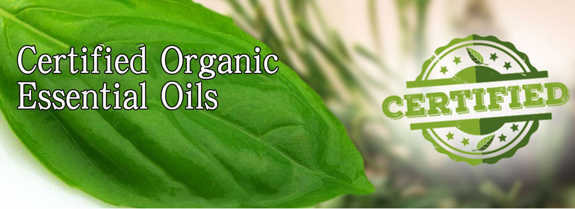 Certified Organic Essential Oils - Shaanxi Baisifu
